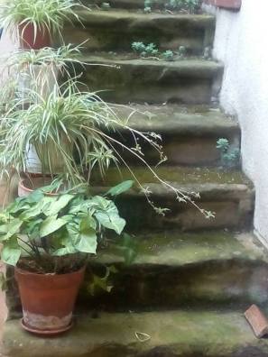 escalera-uned-juan-nieto