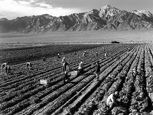 jornaleros Ansel Adams